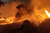 Fim de semana tem incêndios em ao menos 7 cidades em SP. Veja imagens