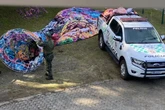SP: 4 suspeitos são detidos por soltar balão em área de preservação