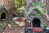 Menino faz amizade com animal inusitado e cria casa para novo pet