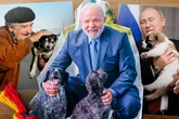 Mascotes do poder: os animais de estimação de líderes mundiais
