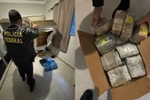 Polícia acha R$ 3 milhões escondidos embaixo de colchão de traficante