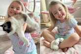 Gata some e aparece na cama de garotinha de 4 anos com três filhotes