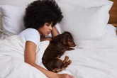 Dormir com o cachorro: entenda riscos e benefícios da prática