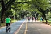 Treinadores repudiam taxa para assessoria esportiva no Ibirapuera