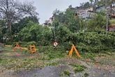 Ventos de até 100 km/h: SP tem alerta de perigo para vendavais