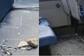 Cidade de São Paulo registra 19 ataques a ônibus nesta sexta (11/7)