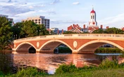 Harvard, a bruxa (por Eduardo Fernandez Silva)
