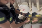 PCGO cumpre 29 mandados de prisão por tráfico de drogas em 4 estados