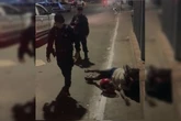Vídeo: mulher cai e bate a cabeça durante abordagem da PM no DF