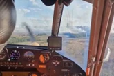 Floresta Nacional: fogo atinge área de mais de 90 campos de futebol