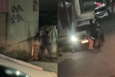 Dois PMs são presos e 4 afastados por execução de jovem em Piracicaba