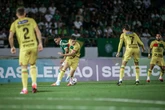 Copa Santa Catarina: assista Brusque x Concórdia ao vivo pelo YouTube