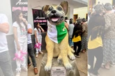 Vira-lata favorito de cidade ganha estátua em sua homenagem
