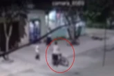 Agressão: filha implora para pai não atacar a mãe, no Entorno. Vídeo