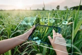 Olimpíada reúne alunos de cursos técnicos na área agrária. Veja