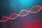 Gene causador da obesidade pode proteger o coração, aponta estudo