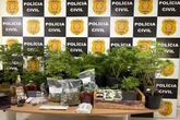 “Advogado da erva” é preso novamente por vender drogas pelo Instagram
