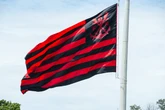 Libra emite comunicado sobre decisão da Justiça contra o Flamengo