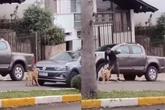 Vira-lata para trânsito, bloqueia carro de policial e “cobra” multa