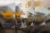 PCDF prende 5 por tráfico e apreende 10 mil comprimidos de ecstasy