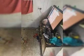 Irmãos são deixados sem comida, água e cercados de sujeira por 4 dias