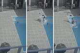 SC: criança quase se afoga em piscina após descuido. Veja vídeo