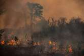 Deputados pedem aumento de pena para quem provoca incêndios florestais