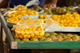 Fruto popular é antioxidante e ajuda a controlar o colesterol; confira