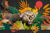 Família de onças viraliza com cenas raras da vida selvagem no Pantanal