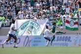 Semifinais da Série A1 do Brasileirão serão neste domingo (31/8)