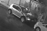 Vídeo: pit-bull invade casa com crianças e ataca cachorro no DF
