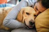 Os 7 cães mais leais: conheça raças que nunca abandonam seus tutores