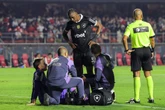 Goleiro Neto, do Botafogo, tem lesão grave e não joga mais em 2025