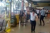 Vídeo: ataque de abelhas provoca a morte de homem de 73 anos em SP
