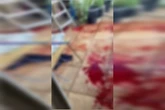 Banhado de sangue: veja onde TH foi morto pela PMERJ após fugir de bunker