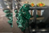 Polícia encontra tabletes de maconha após abordar veículo em Ceilândia