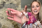 Tiktoker viraliza ao pegar concha com animal venenoso sem saber