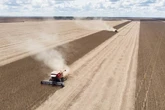 Estudo mostra como vivem moradores das 50 cidades com maior PIB agro