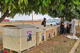 Animais em segurança: PCDF ergue casinhas para cães e gatos de rua