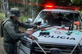 PM percorre 8h de trilha para flagrar caçadores de animais silvestres