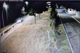 Vídeo mostra momento em que motorista atropela capivaras no Lago Sul