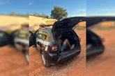 Influencer que escalou torre da PMDF é preso por homicídio no Entorno