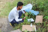 Indígena resgata saberes ancestrais em estudo sobre plantas medicinais