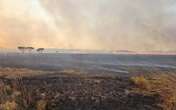 Chapada dos Veadeiros: incêndio queima área de 3 mil campos de futebol