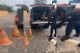 Grupo usa área perto de chaveiro em rodoviária do DF para traficar drogas