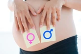 Dia da ovulação define sexo do bebê? Ginecologistas esclarecem teoria