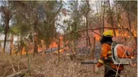 Chapada: incêndio atingiu mais de 35 mil hectares. Veja vídeo