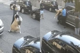 SP: casais trocam socos por carro parado em frente a condomínio. Vídeo