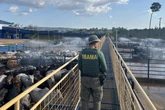Ibama multa frigoríficos em R$ 4 milhões por compra de gado ilegal