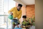 Paisagista dá dicas para cultivar uma horta em pequenos espaços